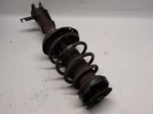 Front shock absorber/damper