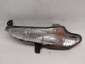 Front fender indicator light