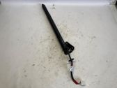 Tailgate/trunk strut/damper