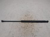Tailgate/trunk strut/damper