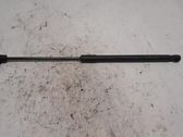 Tailgate/trunk strut/damper