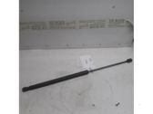 Tailgate/trunk strut/damper
