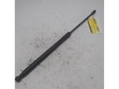 Tailgate/trunk strut/damper