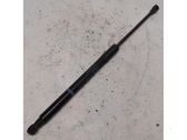 Tailgate/trunk strut/damper