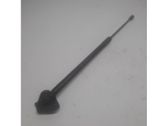 Tailgate/trunk strut/damper