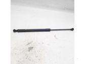 Tailgate/trunk strut/damper