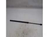 Tailgate/trunk strut/damper