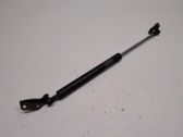 Tailgate/trunk strut/damper
