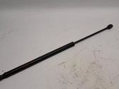 Tailgate/trunk strut/damper
