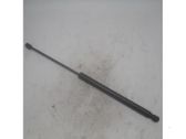 Tailgate/trunk strut/damper