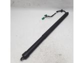 Tailgate/trunk strut/damper