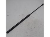 Tailgate/trunk strut/damper