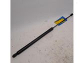 Tailgate/trunk strut/damper