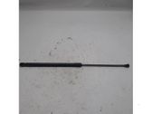 Tailgate/trunk strut/damper