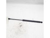 Tailgate/trunk strut/damper