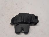 Tailgate/trunk/boot lock/catch/latch