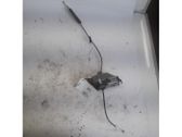 Rear door lock