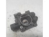 Throttle body valve