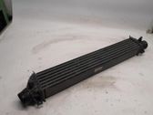 Intercooler radiator