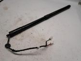 Tailgate/trunk strut/damper
