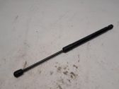 Tailgate/trunk strut/damper