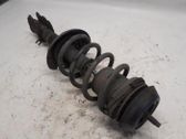 Front shock absorber/damper