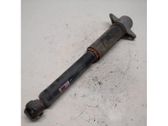 Stoßdämpfer hinten