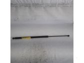 Tailgate/trunk strut/damper