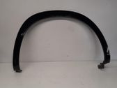 Fender trim (molding)