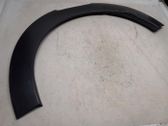 Fender trim (molding)