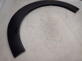 Fender trim (molding)