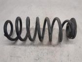 Rear shock absorber with coil spring