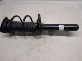 Front shock absorber/damper