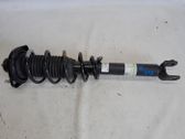 Rear shock absorber/damper