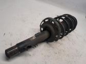 Front shock absorber/damper