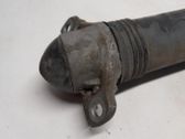 Rear shock absorber/damper