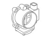 Throttle body valve