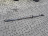 Drive shaft (set)