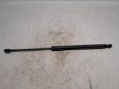 Tailgate/trunk strut/damper