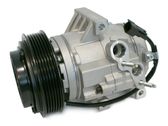 Klimakompressor Pumpe