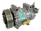 Air conditioning (A/C) compressor (pump)