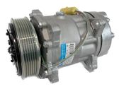 Air conditioning (A/C) compressor (pump)