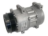 Klimakompressor Pumpe