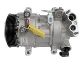 Air conditioning (A/C) compressor (pump)