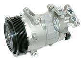 Air conditioning (A/C) compressor (pump)
