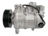Klimakompressor Pumpe