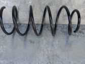Front coil spring