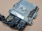 Engine control unit/module ECU