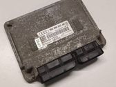 Engine control unit/module ECU