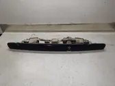 Trunk door license plate light bar